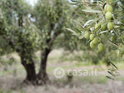 Terreno agricolo in Vendita in Via Emilia a Pisa