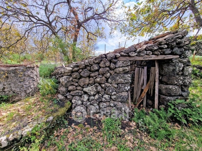 Terreno agricolo in Vendita in Via Prof. Vincenzo Caccioppoli 24 a Piedimonte Etneo