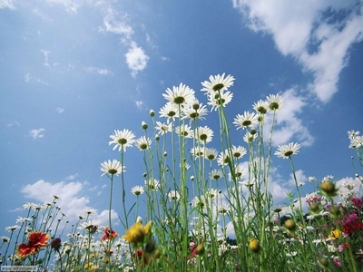 Terreno Commerciale in vendita a Bologna