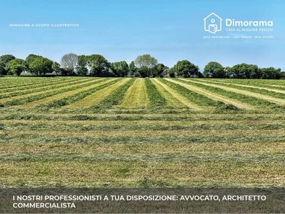 Terreno Edificabile in vendita a Cesena via Chiaviche