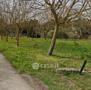 Terreno edificabile in Vendita in Via Conversano 25 a Putignano