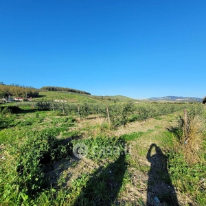 Terreno edificabile in Vendita in Viale Fiume Busento a Catanzaro