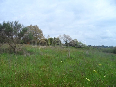 Terreno Residenziale in vendita a Bracciano via San Zoppo, 16