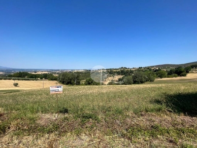 Terreno Residenziale in vendita a Calvi dell'Umbria vocabolo san marco