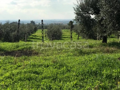 Terreno Residenziale in vendita a Cori via della Stazione di Cori