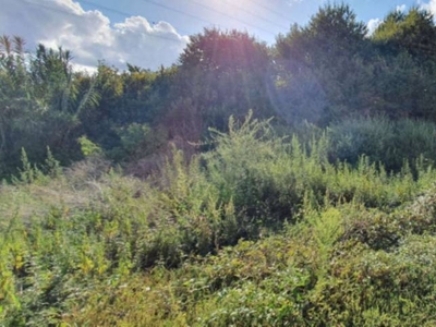 Terreno Residenziale in vendita a Labico via Guglielmo Fioramonti