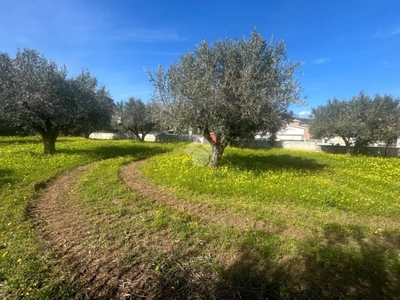 Terreno Residenziale in vendita a Lamezia Terme località prunia
