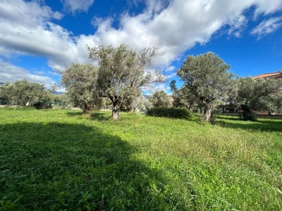 Terreno Residenziale in vendita a Lamezia Terme via dei Morgeti