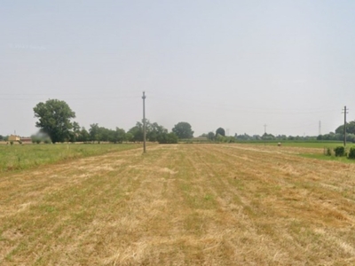 Terreno Residenziale in vendita a Piazzola sul Brenta