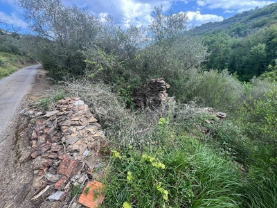 Terreno Residenziale in vendita a Pietrabruna via Provinciale