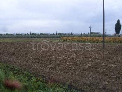 Terreno Residenziale in vendita a San Miniato