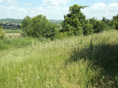 Terreno Residenziale in vendita a San Miniato