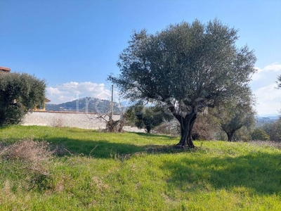 Terreno Residenziale in vendita a Sant'Angelo Romano via Quarticciolo