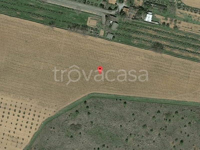 Terreno Residenziale in vendita a Scarlino localita' fonte al cerro snc - 58020 Scarlino (gr)
