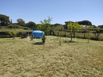 Terreno Residenziale in vendita a Tarquinia via Etruria