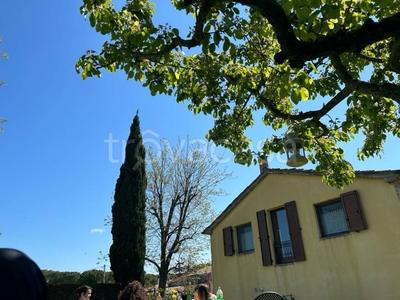 Villa in affitto a Misano Adriatico via Camilluccia