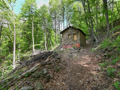 Rustico indipendente in pietra con bosco ad Angrogna