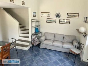 Appartamento arredato con terrazzo Chiaia