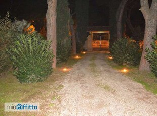 Appartamento con terrazzo Boccea, torrevecchia, pineta sacchetti, selva candida, ottavia