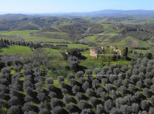 Azienda agricola composta da fabbricati (da ricostruire) e terreni. Posizione collinare e panora...