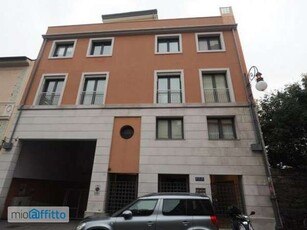 Bilocale arredato con terrazzo Trieste