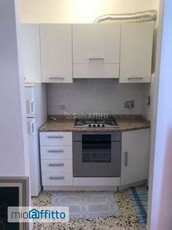 Bilocale arredato con terrazzo Trieste