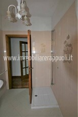 Appartamento in Affitto a Padova Prato della Valle
