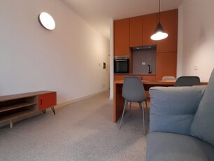 Loft arredato in affitto in via santa marta, Pisa