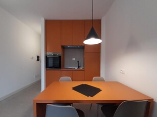 Loft arredato in affitto, Pisa landi