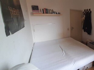 Stanza/camera in affitto a Pisa Santantonio