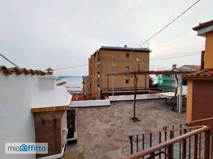 Villa arredata con terrazzo Trieste