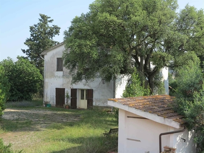 Rustico casale in vendita a Magliano In Toscana Grosseto Montiano