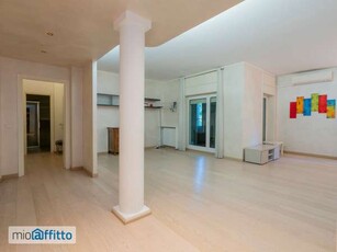 Appartamento arredato con terrazzo Area novegro, san felice