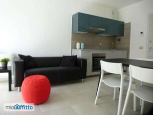 Appartamento arredato con terrazzo Bolognina