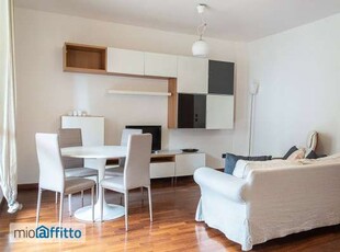 Appartamento arredato con terrazzo Centro