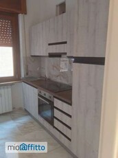 Appartamento arredato con terrazzo Centro