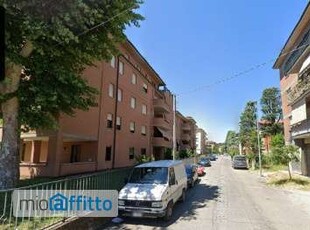 Appartamento arredato con terrazzo Centro