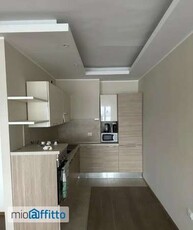 Appartamento arredato con terrazzo Centro