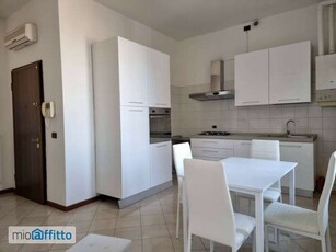 Appartamento arredato con terrazzo Cremona