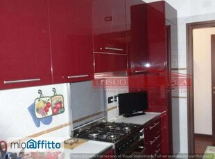 Appartamento arredato con terrazzo Fiumicino