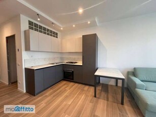 Appartamento arredato con terrazzo Milano marittima