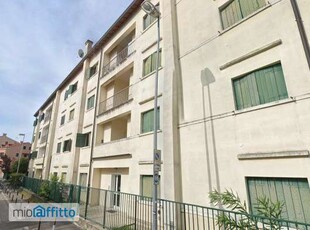 Appartamento arredato con terrazzo Padova