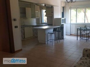 Appartamento arredato con terrazzo Perugia