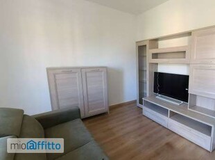 Appartamento arredato con terrazzo Pietrasanta