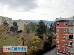 Appartamento arredato con terrazzo Posatora, pinocchio, tavernelle, le grazie