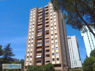 Appartamento arredato con terrazzo Trieste , salario