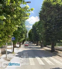 Appartamento arredato con terrazzo Viale roma