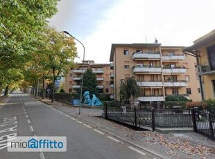 Appartamento arredato Ruginello