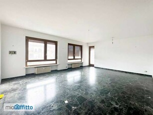 Appartamento con terrazzo Mirafiori nord