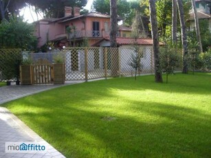 Appartamento con terrazzo Vittoria apuana